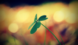 几种阀门的结构示意图,常用阀门分为哪几种