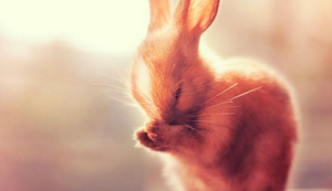 几种阀门的结构示意图,常用阀门分为哪几种