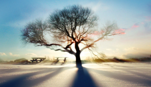 几种阀门的结构示意图,常用阀门分为哪几种